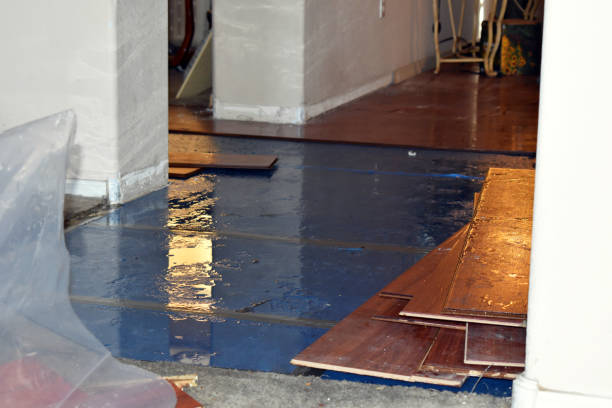 Professional Burst Pipe Cleanup technician working in Holden, MO