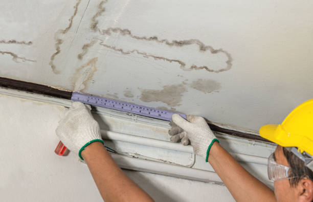 Reliable Burst Pipe Cleanup contractor in Holden, MO by Water Damage Irwin